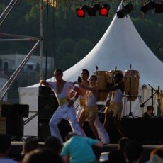 Y Salsa 10